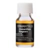 Car Perfume 10ml