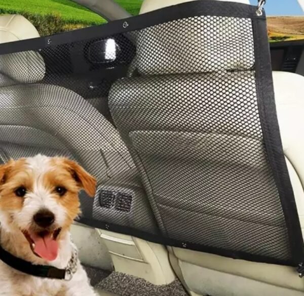 Car dog isolation fence